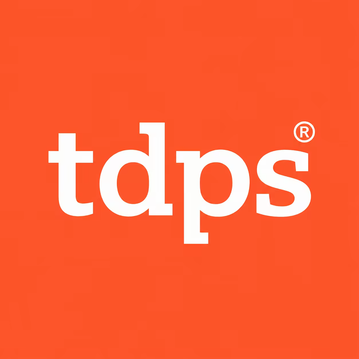 TD Power Systems